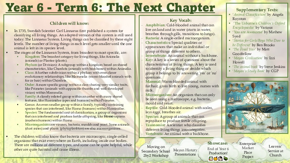 Year 6 term 6